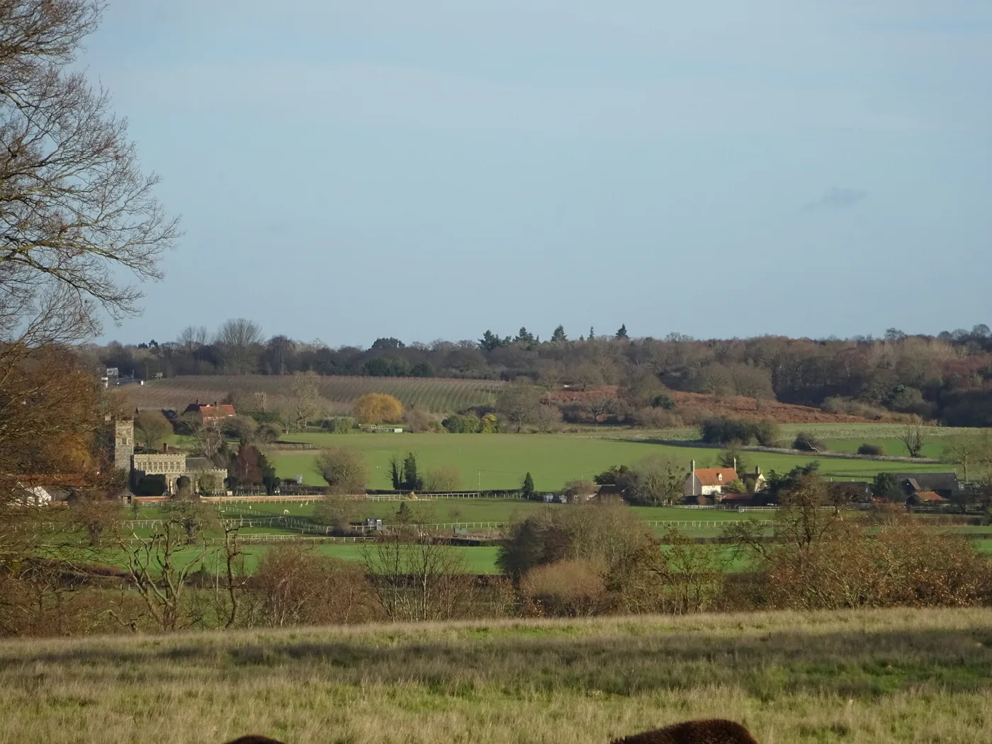 Spa Hotels in Essex: 6 Checked, and Who Bans Under-18s
